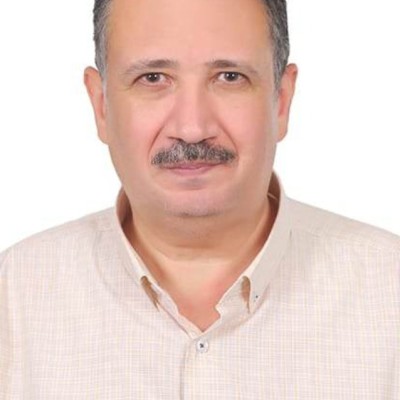 Tarek Assal